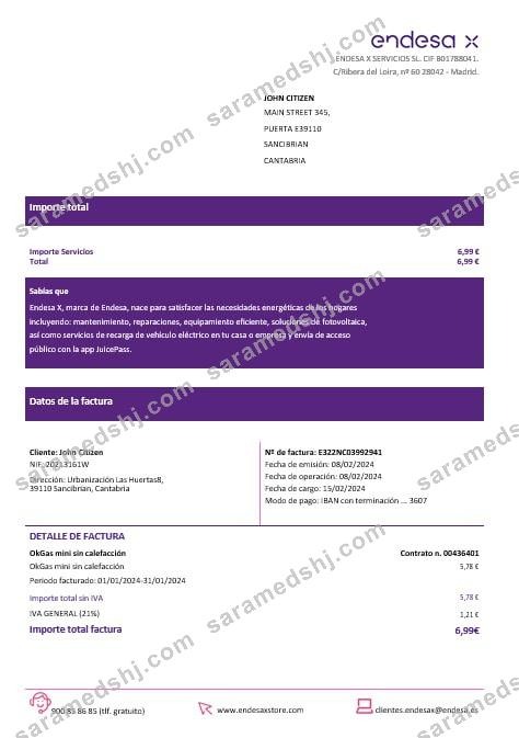 Spain Barcelona endesa X electricity  utility bill Word and PDF formats